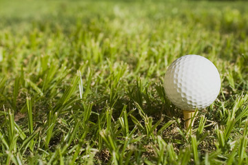 golfball3