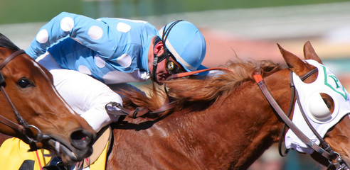 horse race 4