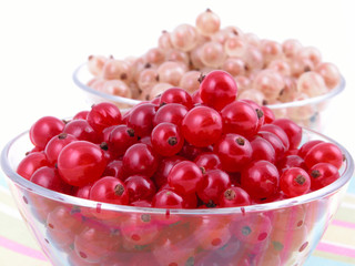 currants