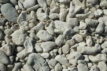 beach rocks