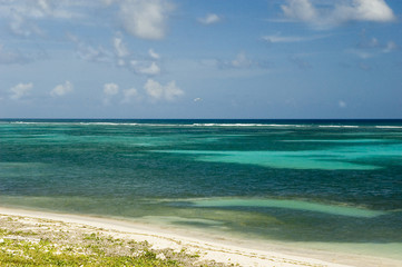 triopical beach