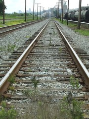 Obraz premium tracking