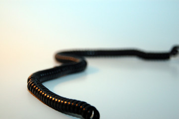 phone cord 1