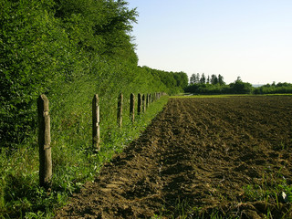 constructing fence 2