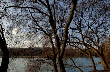 le parc de la tete d'or