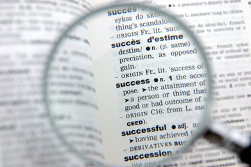 definition of success