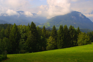 Fototapeta na wymiar łąka w górach