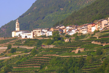 dorf in den alpen mit weinanbau