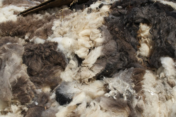 wool pile