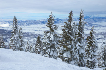 colorado