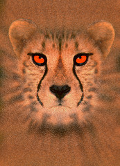 enhanced cheetah
