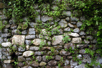 stone wall at ninfa gardens