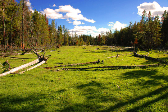 yellowstone