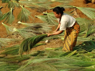 Wandaufkleber travail, laos © J-F Perigois