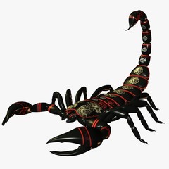 scorpion