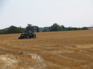 countryside