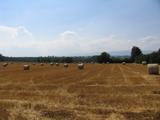 countryside