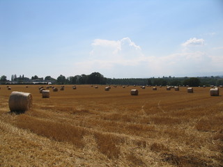 countryside