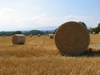 countryside