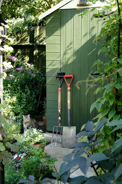 garden shed and gardening tools