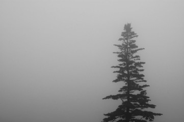 isolation