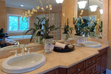 master bathroom no.2