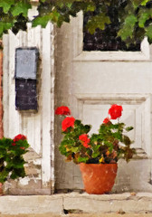 Fototapeta na wymiar geraniums at doorway