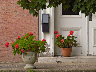 geraniums at doorway