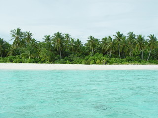 honeymoon island