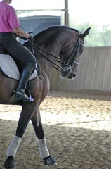 Wall murals dressage horse 3