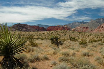red rock desert scenes 1