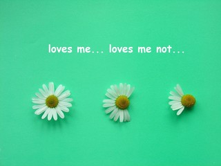 loves me... loves me not...