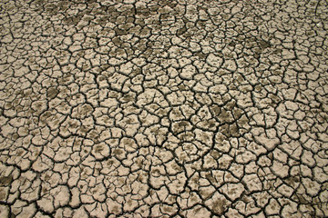 desert