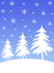 Obraz premium snow covered trees