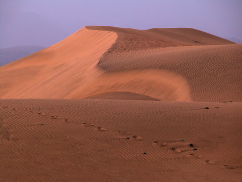 desert © João Freitas