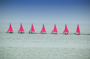 Fototapeta premium voiles roses