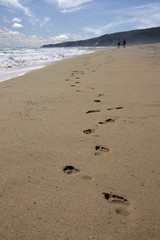 footprint on sands
