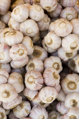 garlic on display