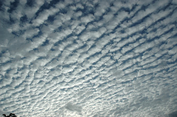 mackerel sky