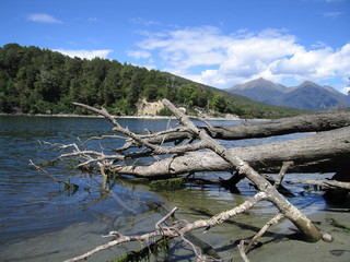 Fototapeta na wymiar lac manapouri