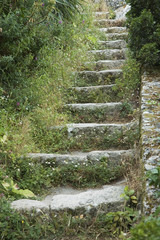 steps in old castle