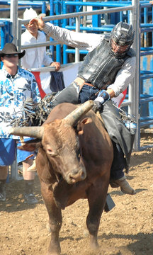 cowboy riding a bull