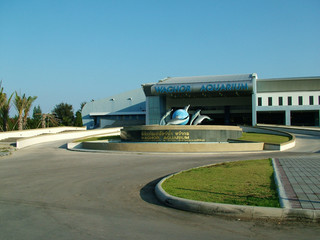 aquarium, thailande