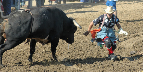 bull chasing cowboy