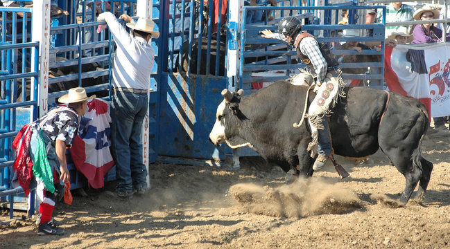 bull, rider, and cowboys