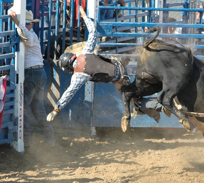 bull throwing rider
