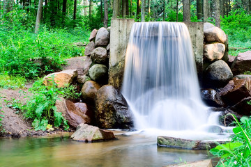 forest waterfall
