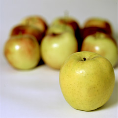 apples