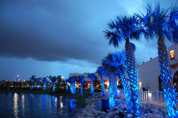 palms under blue light