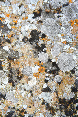 texture